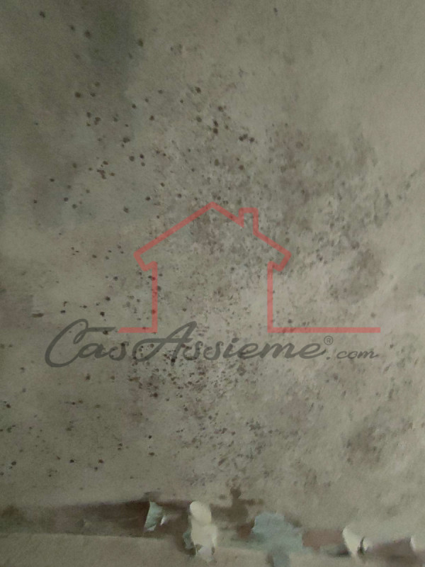 Rif. PE026422
La nostra Agenzia ha selezionato per Voi l'occasione del mese all'asta.

Proponiamo...