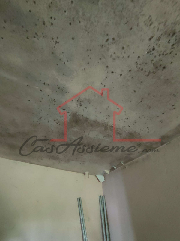 Rif. PE026422
La nostra Agenzia ha selezionato per Voi l'occasione del mese all'asta.

Proponiamo...