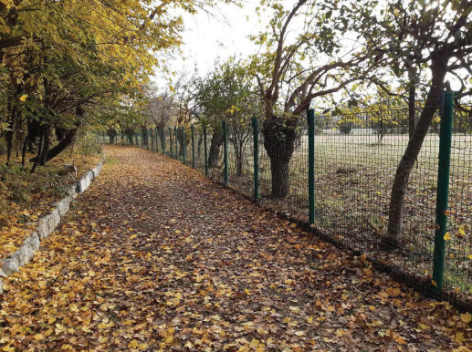 Rif. A.A.451-211

Vendita all'asta - agriturismo con terreni e accessori in data 02 dicembre 2025...