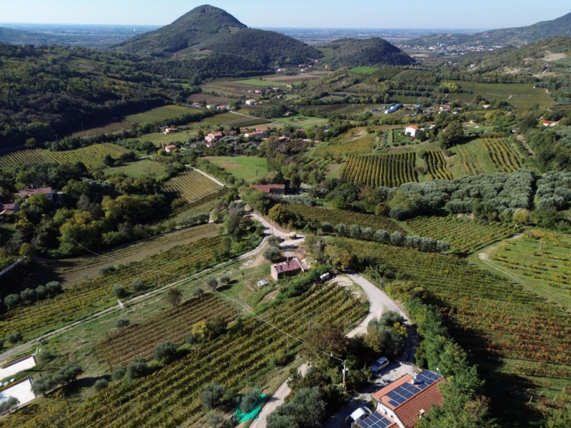 COMPOSIZIONE:
Bellissima soluzione dalle ottime potenzialità, completamente da ristrutturare, con...