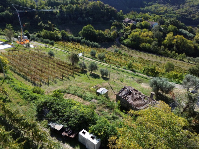 COMPOSIZIONE:
Bellissima soluzione dalle ottime potenzialità, completamente da ristrutturare, con...