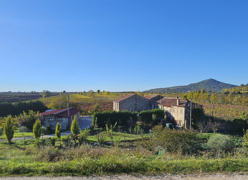 Proponiamo in vendita a Cinto Euganeo, terreno corrispondente a circa 3 campi padovani, suddiviso...