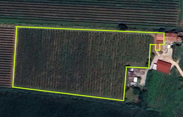 Proponiamo in vendita a Cinto Euganeo, terreno corrispondente a circa 3 campi padovani, suddiviso...