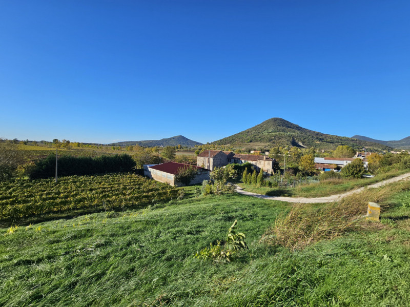 Proponiamo in vendita a Cinto Euganeo, terreno corrispondente a circa 3 campi padovani, suddiviso...