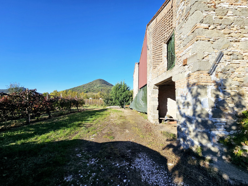 Proponiamo in vendita a Cinto Euganeo, terreno corrispondente a circa 3 campi padovani, suddiviso...