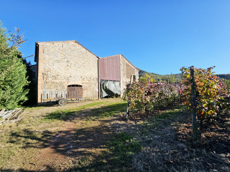 Proponiamo in vendita a Cinto Euganeo, terreno corrispondente a circa 3 campi padovani, suddiviso...