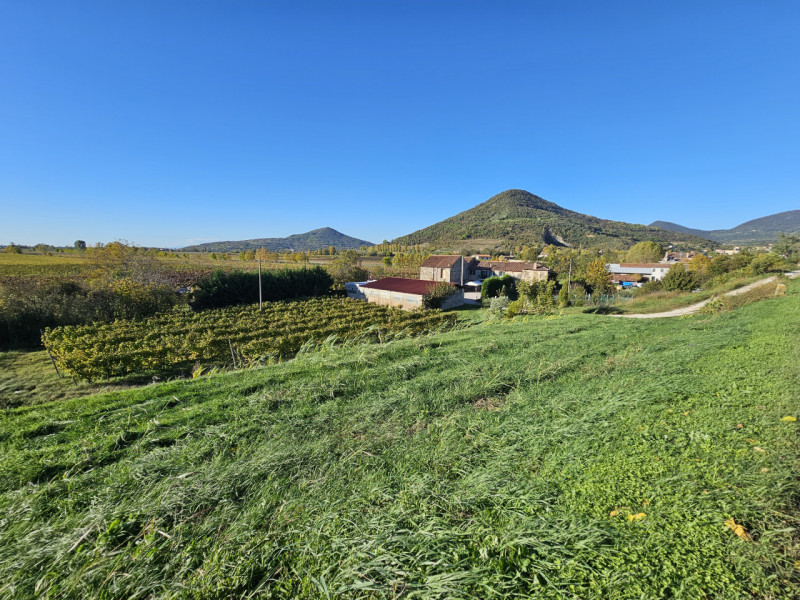 Proponiamo in vendita a Cinto Euganeo, terreno corrispondente a circa 3 campi padovani, suddiviso...