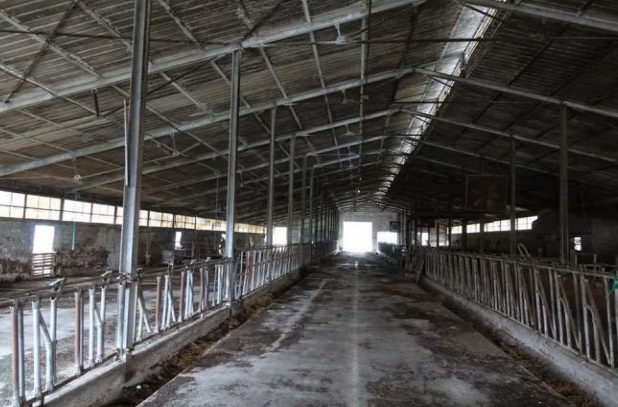 Rif. A.A.88-23

Vendita all'asta - azienda agricola con accessori in data 02 dicembre 2025

Descr...