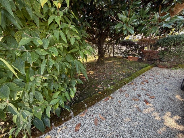 VIGODARZERE: CLASSE ENERGETICA G EPgl,nren 315,68 KWh/mq anno
Proponiamo porzione di casa accosta...