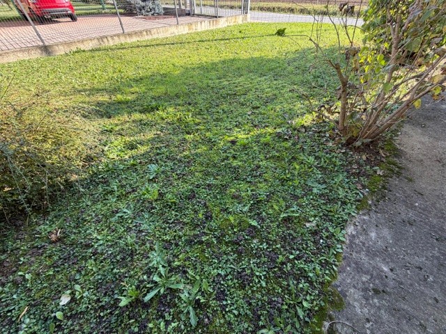 VIGODARZERE: CLASSE ENERGETICA G EPgl,nren 315,68 KWh/mq anno
Proponiamo porzione di casa accosta...