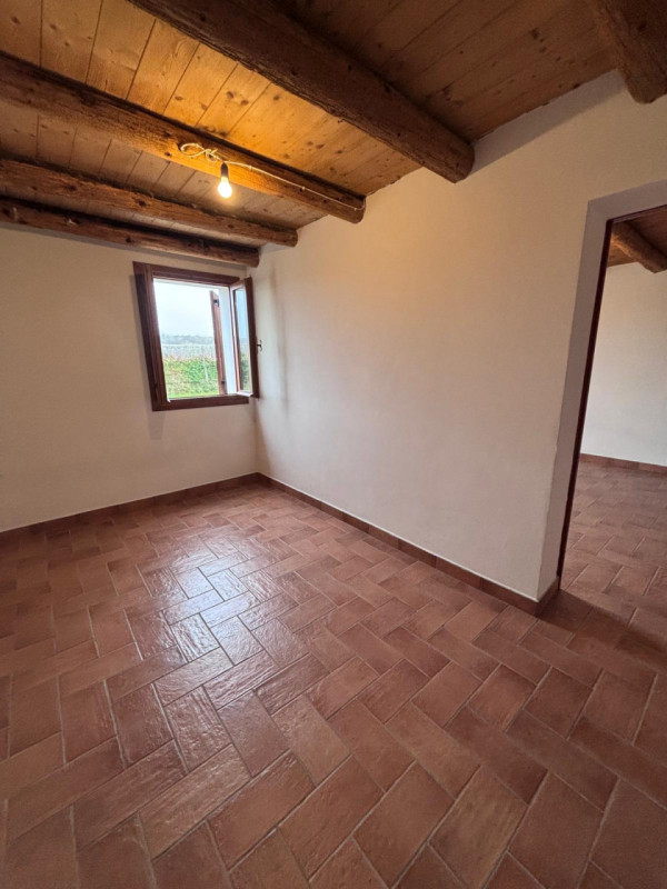 Scopri questo incantevole rustico casale situato nel cuore della campagna di Masi, un'oasi di tra...