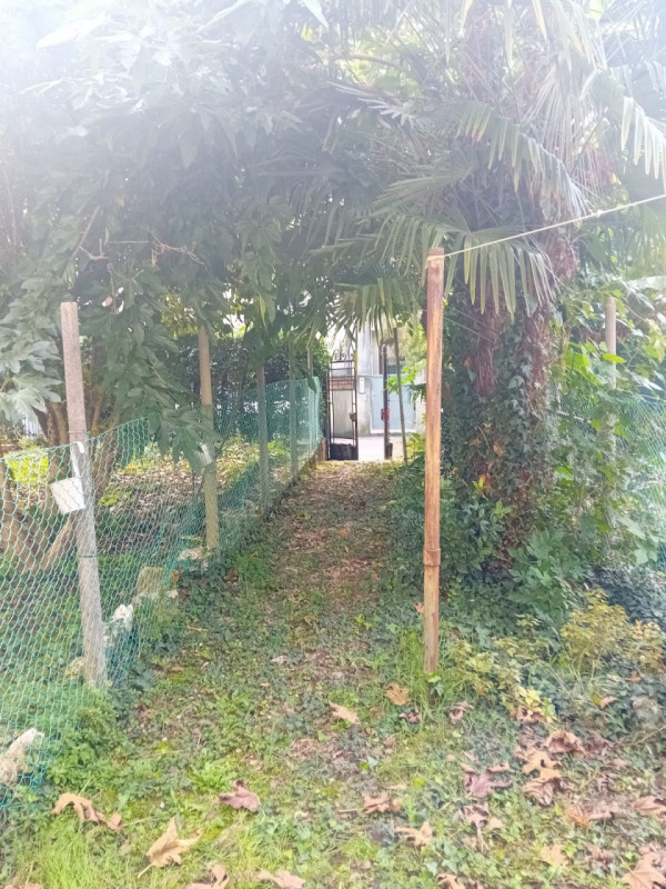 In una tranquilla zona interna di Corso Padova, a pochi passi dal cuore pulsante del Centro Stori...