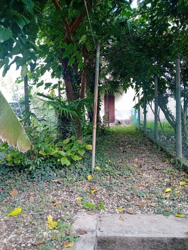 In una tranquilla zona interna di Corso Padova, a pochi passi dal cuore pulsante del Centro Stori...