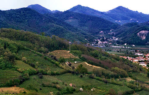 Scoprite un'opportunità unica nel cuore dei Colli Euganei! In uno dei contesti più prestigiosi, p...