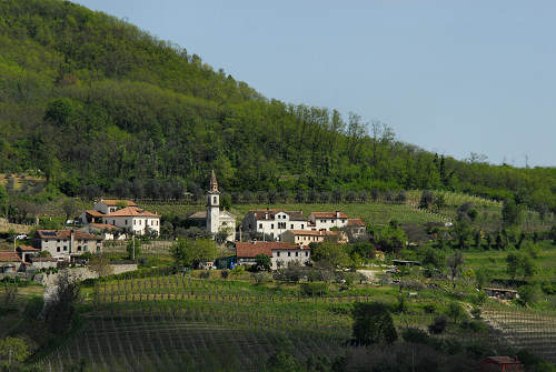 Scoprite un'opportunità unica nel cuore dei Colli Euganei! In uno dei contesti più prestigiosi, p...