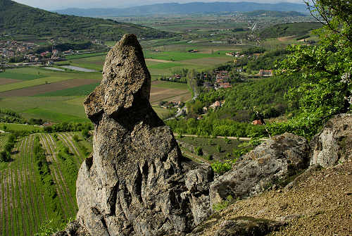 Scoprite un'opportunità unica nel cuore dei Colli Euganei! In uno dei contesti più prestigiosi, p...