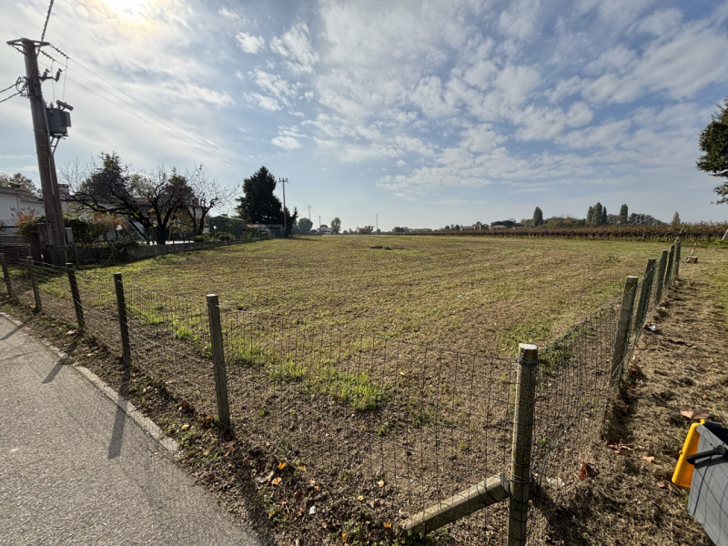 A CONSELVE INGRANDISCI LA TUA PROPRIETA' TERRIERA E POTENZIA LA TUA ATTIVITA' AGRICOLA!!! PIU' TE...