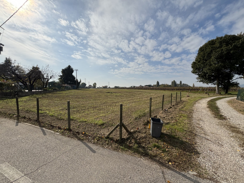 A CONSELVE INGRANDISCI LA TUA PROPRIETA' TERRIERA E POTENZIA LA TUA ATTIVITA' AGRICOLA!!! PIU' TE...