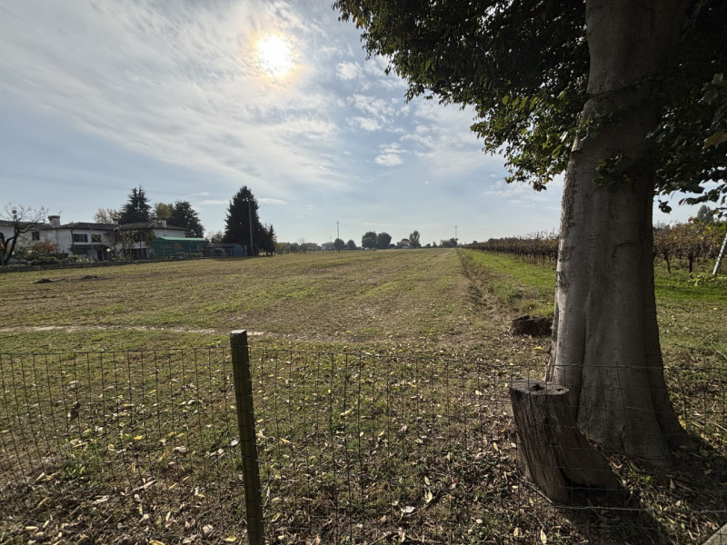 A CONSELVE INGRANDISCI LA TUA PROPRIETA' TERRIERA E POTENZIA LA TUA ATTIVITA' AGRICOLA!!! PIU' TE...