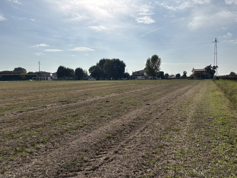 A CONSELVE INGRANDISCI LA TUA PROPRIETA' TERRIERA E POTENZIA LA TUA ATTIVITA' AGRICOLA!!! PIU' TE...