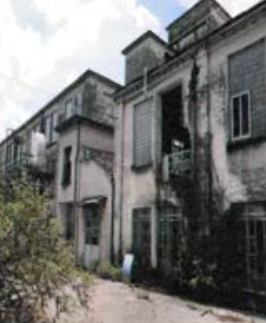 RIF. A.A.29-232
                                                                                 ...