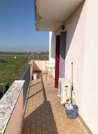 RIF. A.A.258-24
                                                                                 ...