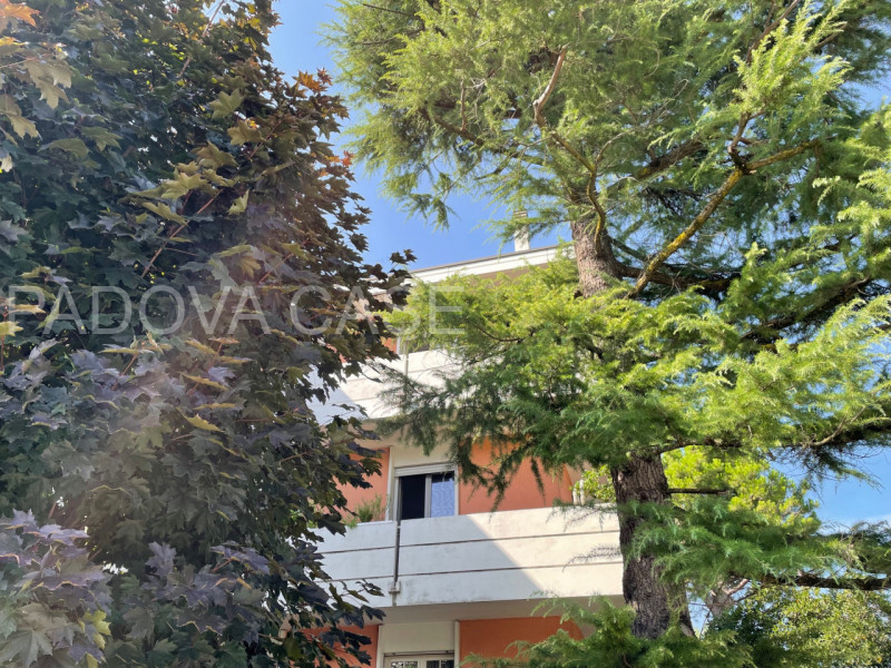 CON CONTRATTO DI AFFITTO IN CORSO 

Scopri questa meravigliosa mansarda open space situata nella ...