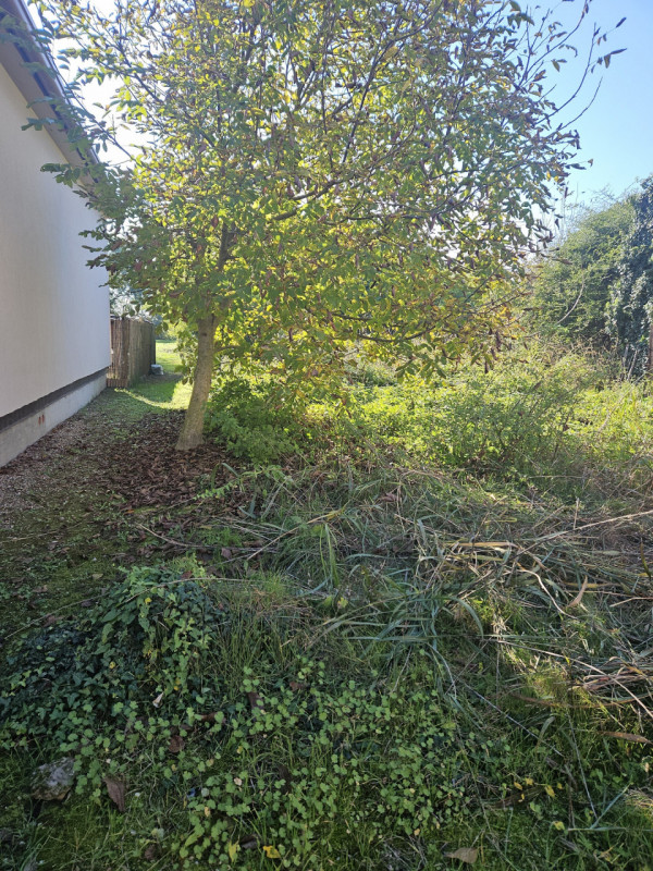 In vendita in Comune di Casale di Scodosia, vi proponiamo una straordinaria opportunità immobilia...