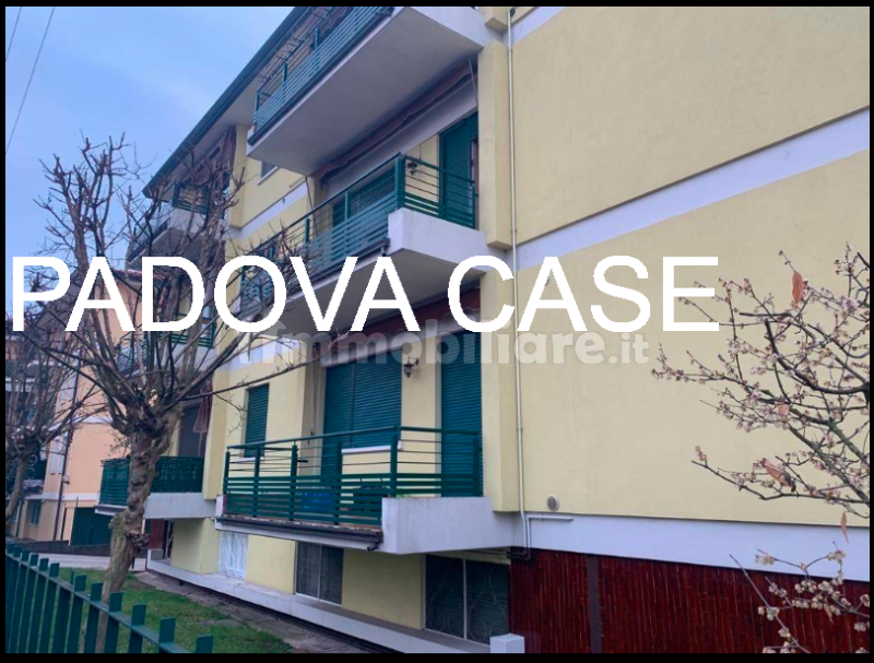 appartamento composto da: 

INGRESSO
RIPOSTIGLIO
CUCINA CON ACCESSO AL POGGIOLO 
SOGGIORNO CON AC...