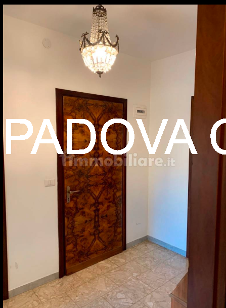 appartamento composto da: 

INGRESSO
RIPOSTIGLIO
CUCINA CON ACCESSO AL POGGIOLO 
SOGGIORNO CON AC...