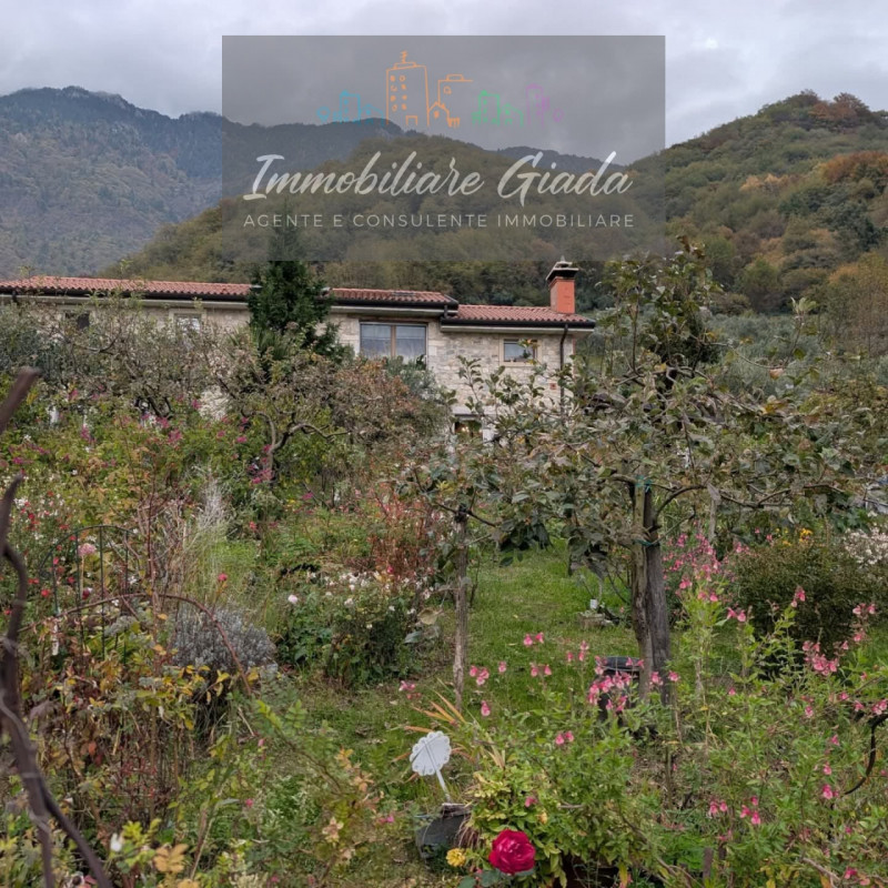 Villa tipica di collina con terreno e doppia unità abitativa – un’oasi di natura e tranquillità

...