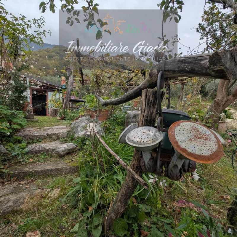 Villa tipica di collina con terreno e doppia unità abitativa – un’oasi di natura e tranquillità

...