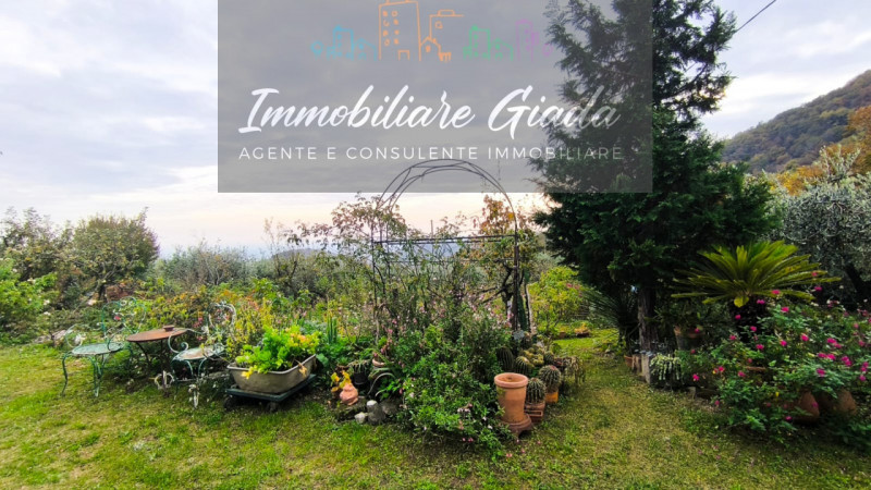 Villa tipica di collina con terreno e doppia unità abitativa – un’oasi di natura e tranquillità

...