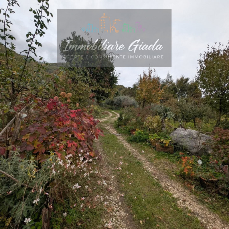 Villa tipica di collina con terreno e doppia unità abitativa – un’oasi di natura e tranquillità

...