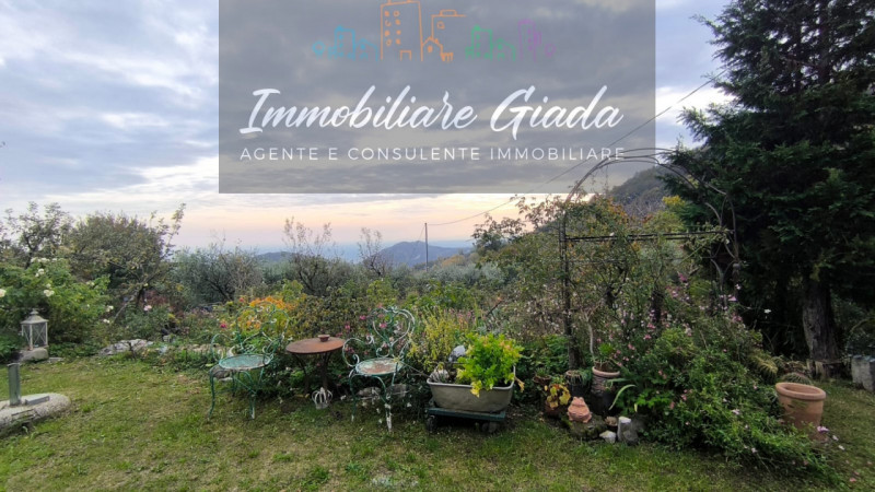 Villa tipica di collina con terreno e doppia unità abitativa – un’oasi di natura e tranquillità

...