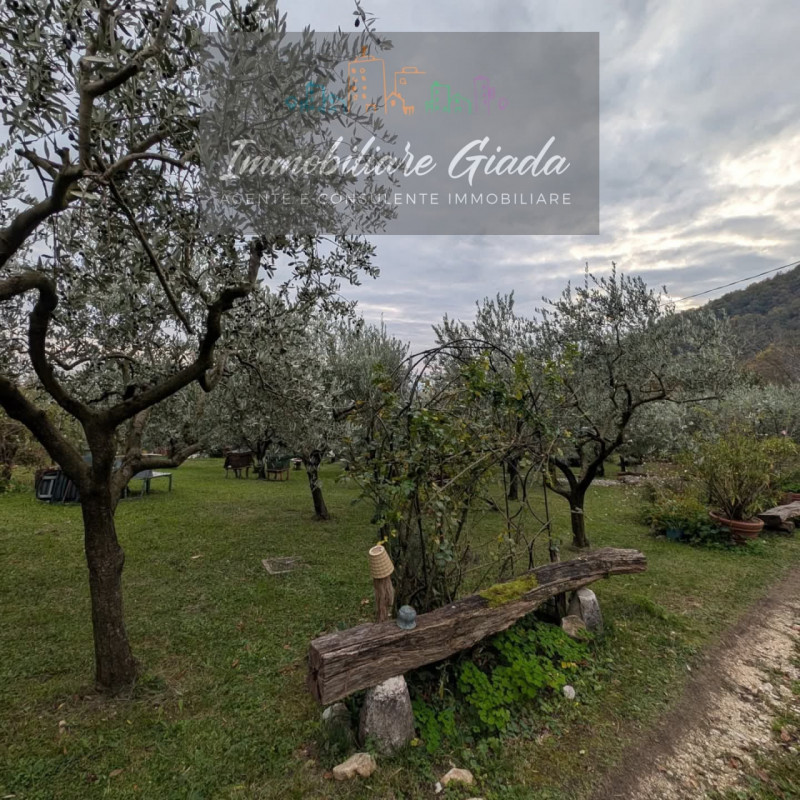 Villa tipica di collina con terreno e doppia unità abitativa – un’oasi di natura e tranquillità

...