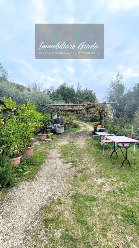 Villa tipica di collina con terreno e doppia unità abitativa – un’oasi di natura e tranquillità

...