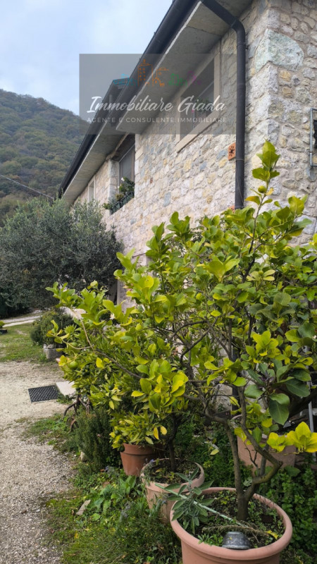 Villa tipica di collina con terreno e doppia unità abitativa – un’oasi di natura e tranquillità

...
