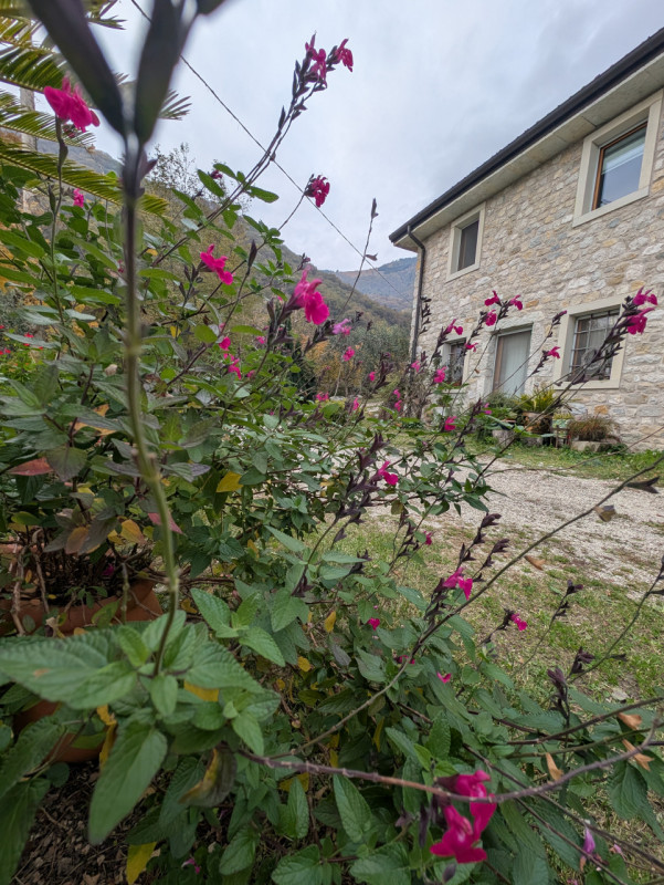 Villa tipica di collina con terreno e doppia unità abitativa – un’oasi di natura e tranquillità

...