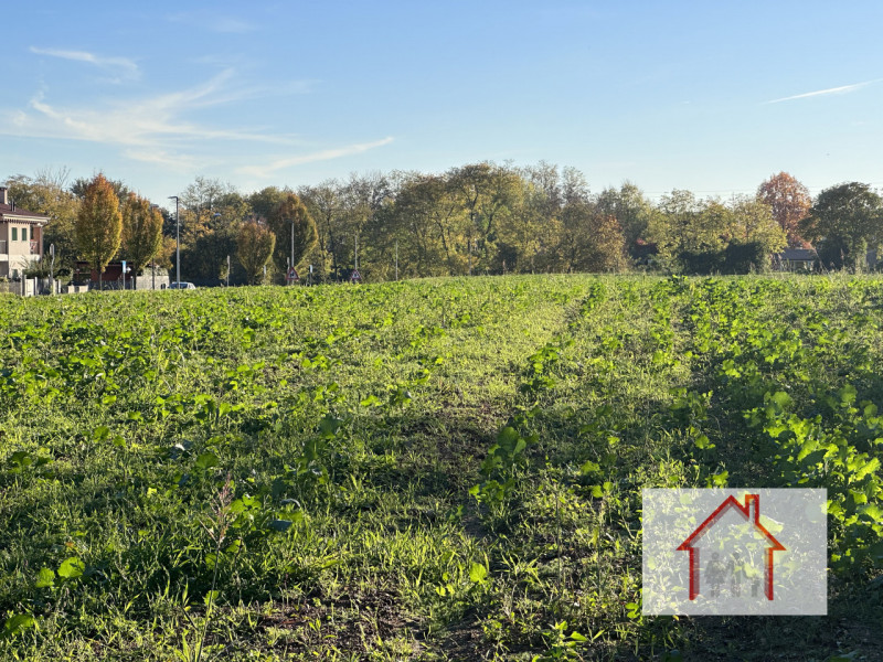 Rif.: PTE011 Per informazioni Paolo 3488545745
L'agenzia Immobiliare Luxor attraverso la sua comp...