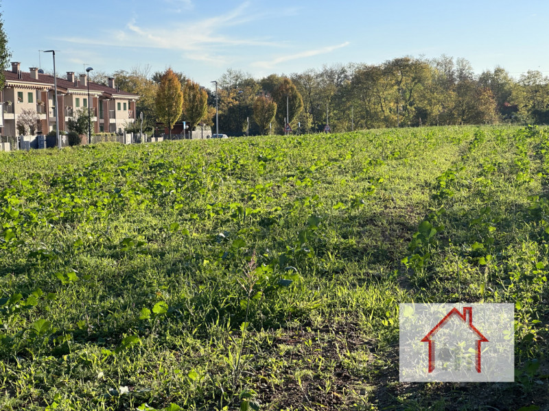 Rif.: PTE011 Per informazioni Paolo 3488545745
L'agenzia Immobiliare Luxor attraverso la sua comp...