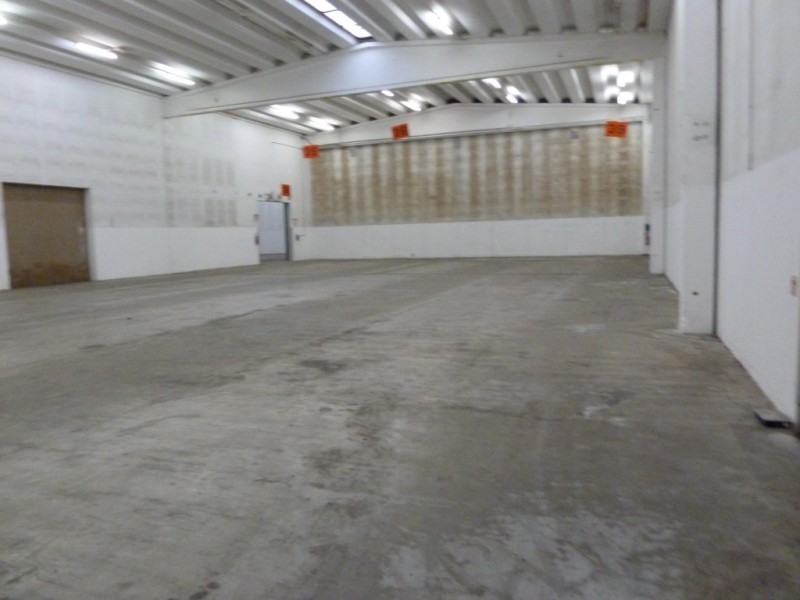 SAN BIAGIO CALLALTA (TV) AFFITTASI CAPANNONE MQ. 12.000 USO LOGISTICO con diverse baie di carico ...