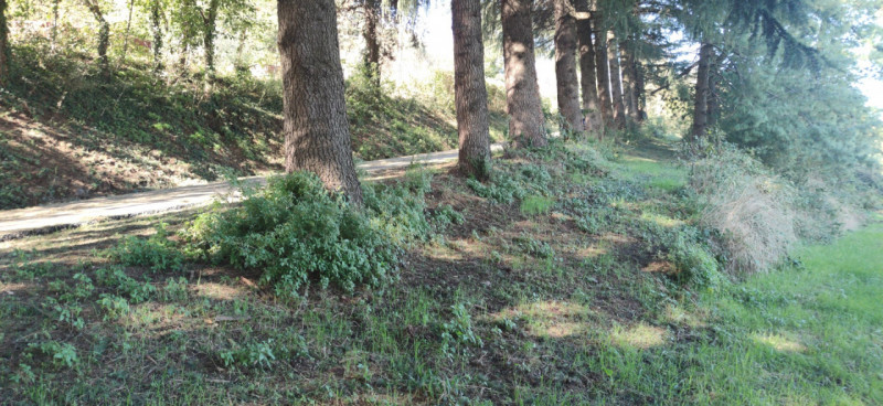 Siete alla ricerca di un'opportunità unica per costruire la vostra casa dei sogni? Vi proponiamo ...