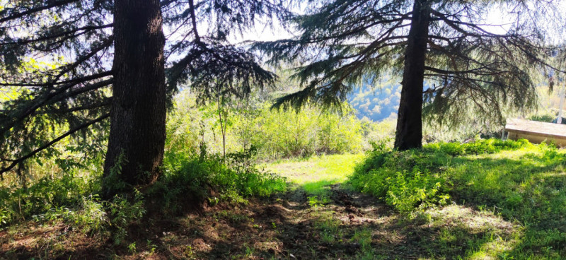 Siete alla ricerca di un'opportunità unica per costruire la vostra casa dei sogni? Vi proponiamo ...