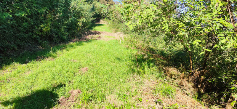 Siete alla ricerca di un'opportunità unica per costruire la vostra casa dei sogni? Vi proponiamo ...