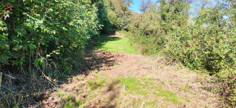 Siete alla ricerca di un'opportunità unica per costruire la vostra casa dei sogni? Vi proponiamo ...