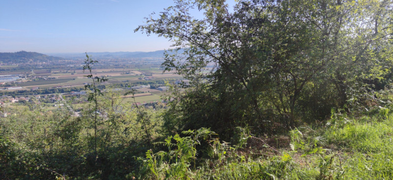 Siete alla ricerca di un'opportunità unica per costruire la vostra casa dei sogni? Vi proponiamo ...