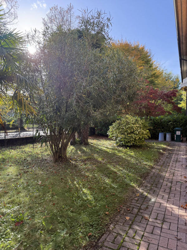 (Per INFO Fabrizio 333 7743912) - Proponiamo in vendita, a pochi passi da centro di Mogliano Vene...