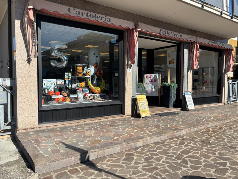 Proponiamo in vendita importante e conosciuta cartoleria situata nel pieno centro di Vò, in posiz...