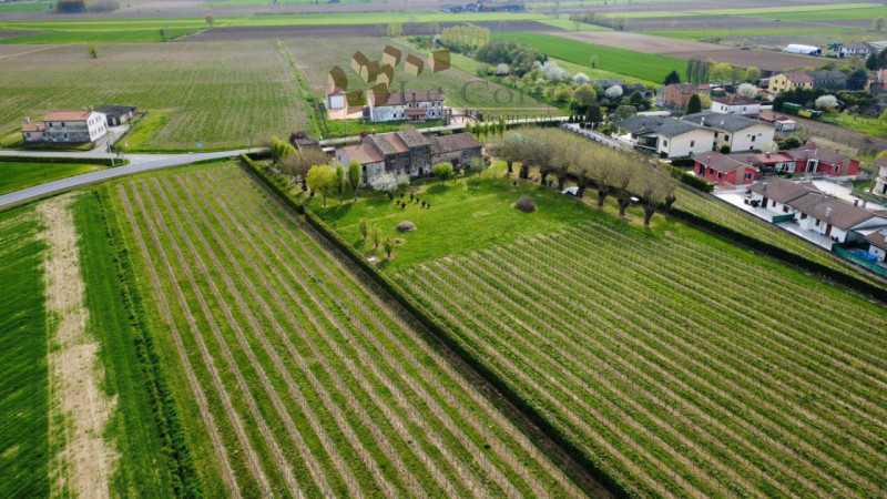 Proponiamo in vendita a San Sebastiano di Cologna Veneta un affascinante rustico del XIX secolo, ...